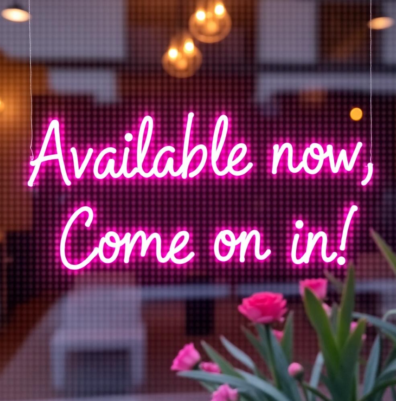 Frozen in Time Aesthetics